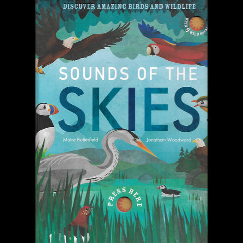 Sounds Of The  Skies